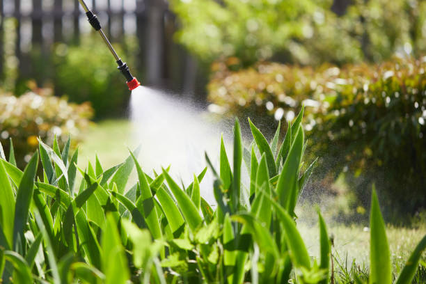 Tamper-Resistant Bait Stations for Rodents in Scarsdale