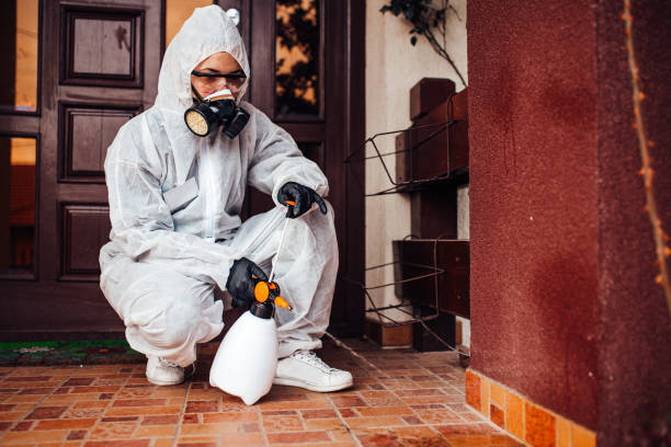Attic and Crawl Space Rodent Treatment in Scarsdale