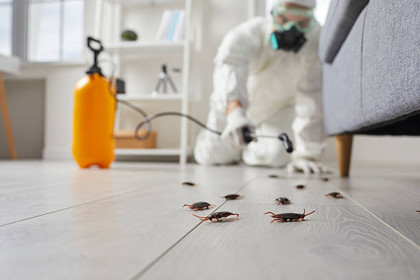 Commercial Rodent Management in Scarsdale
